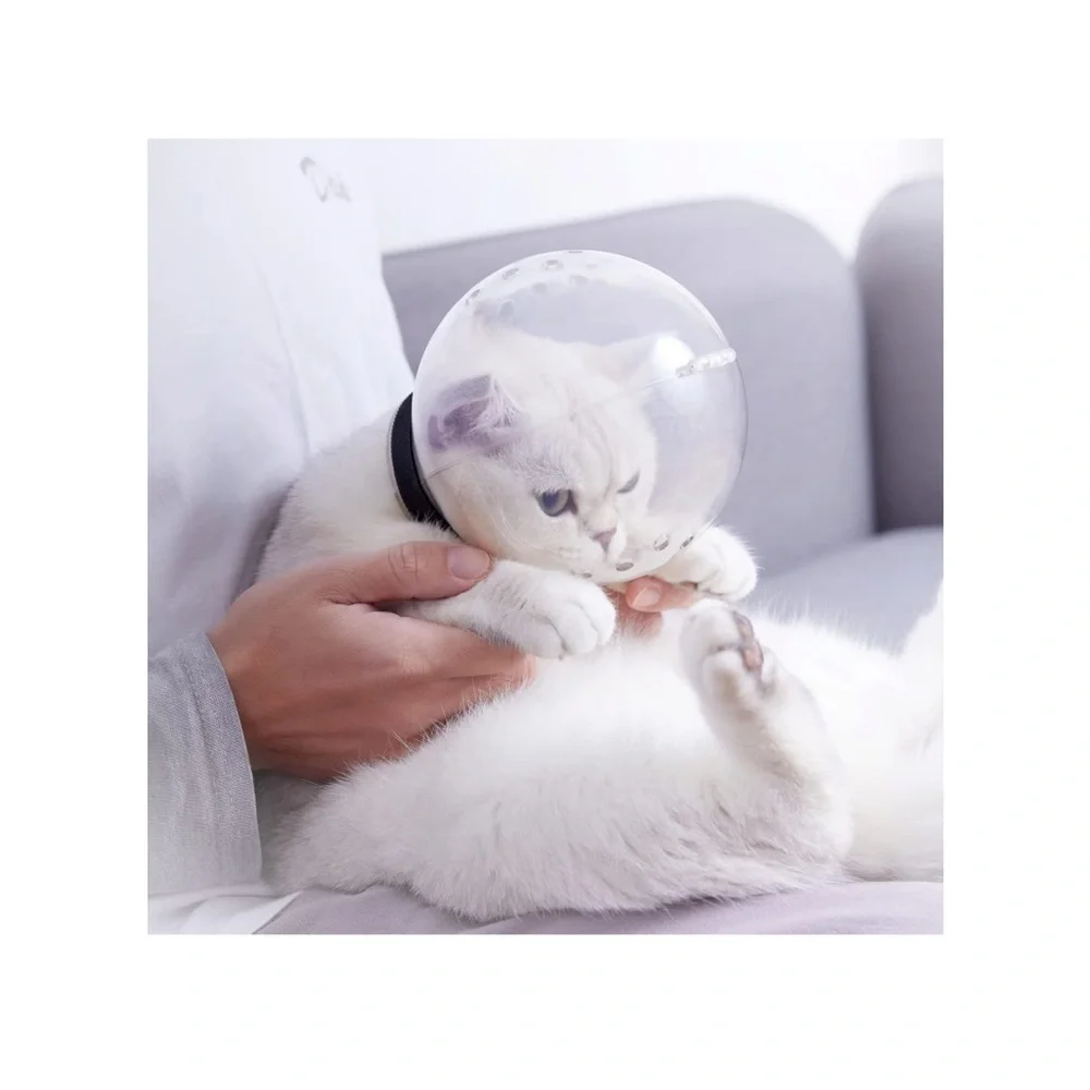 Cat Muzzle for Grooming,Bubble Muzzle and Boots for Nail Trimming,Cat Gr…